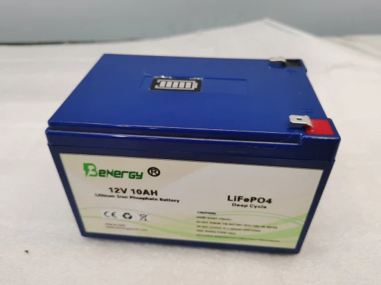 Long Cycle Life Lithium Ion LiFePO4 Battery 12V 10ah with BMS